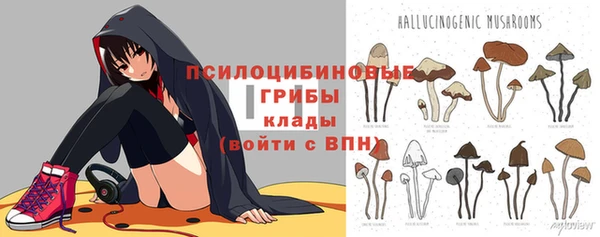 Альфа ПВП Аркадак
