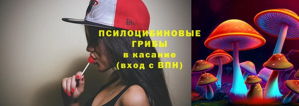 дмт Покров